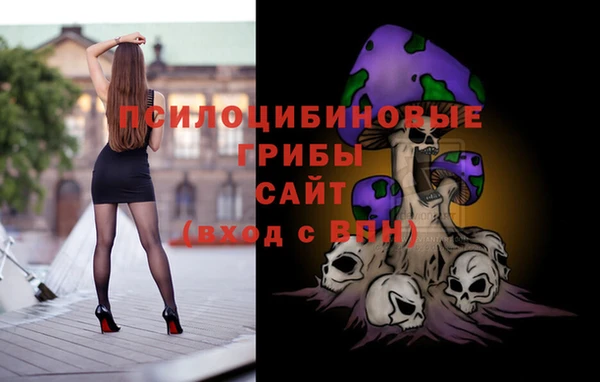 дурь Ладушкин
