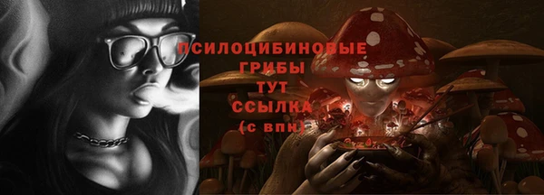 дурь Ладушкин