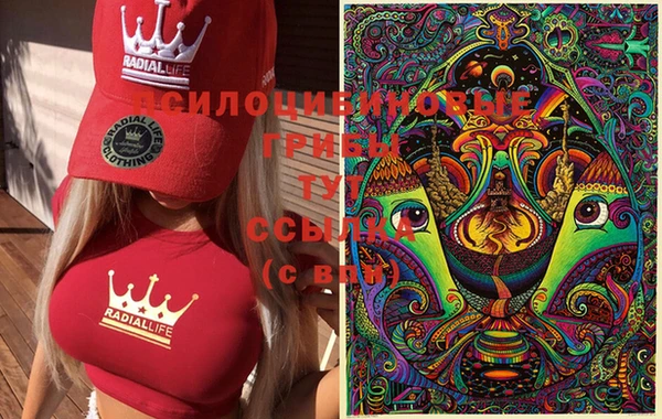 дживик Лабытнанги