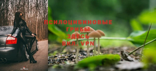 дурь Ладушкин