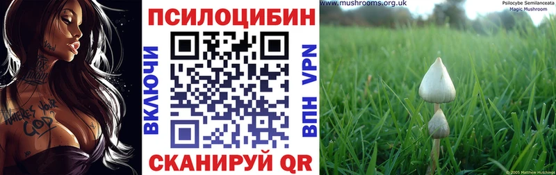 наркота  Нолинск  Галлюциногенные грибы мицелий 
