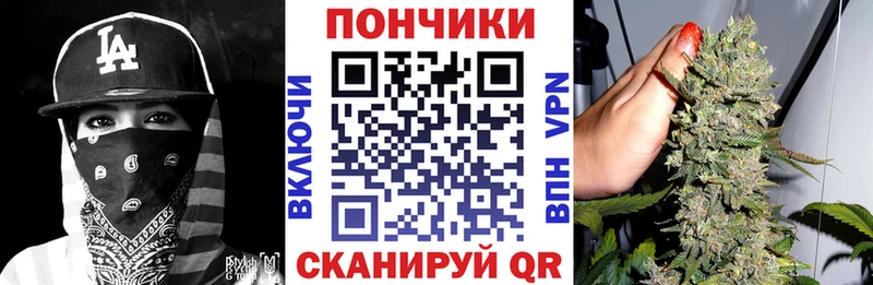 как найти закладки  Нолинск  Конопля индика 